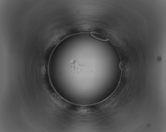 X0000093590746200710221523