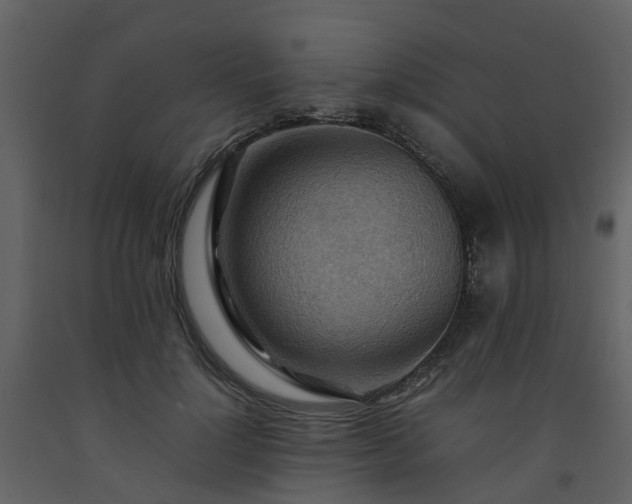 X0000093590748200710221523