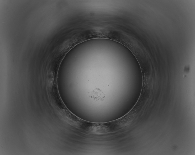 X0000093590752200710221523