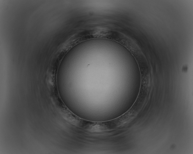 X0000093590755200710221523