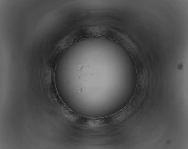 X0000093590757200710221523