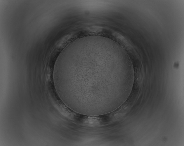 X0000093590758200710221523