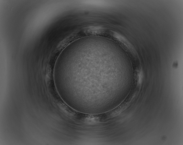 X0000093590760200710221523