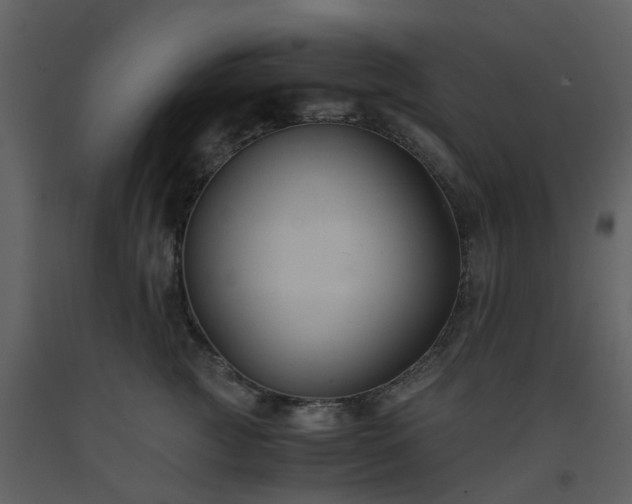 X0000093590761200710221523