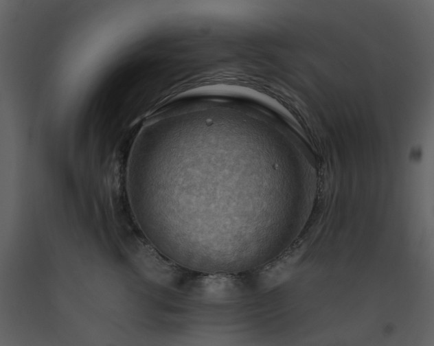 X0000093590762200710221523
