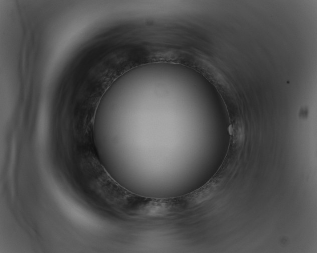 X0000093590764200710221523