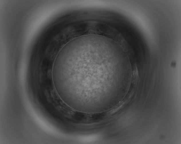X0000093590765200710221523