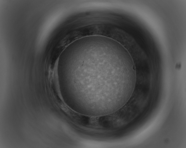 X0000093590766200710221523