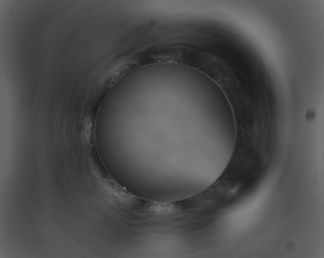 X0000093590767200710221523