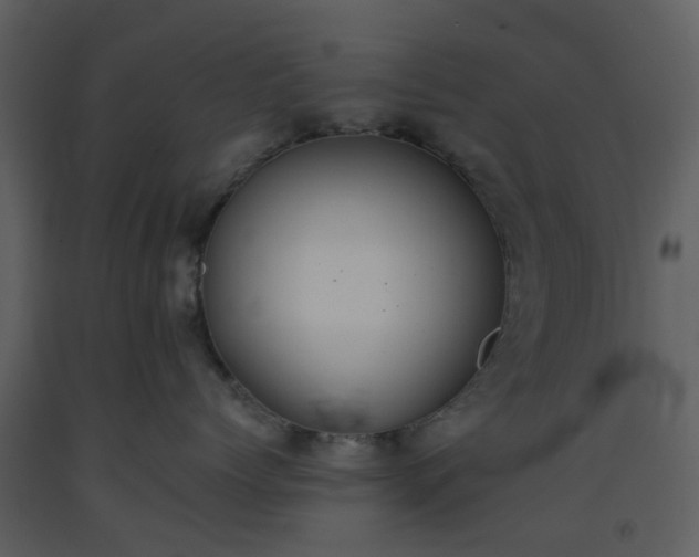 X0000093590768200710221523