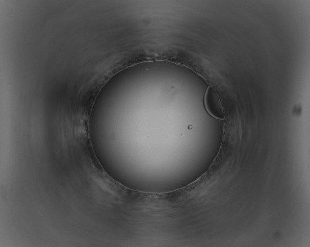 X0000093590770200710221522