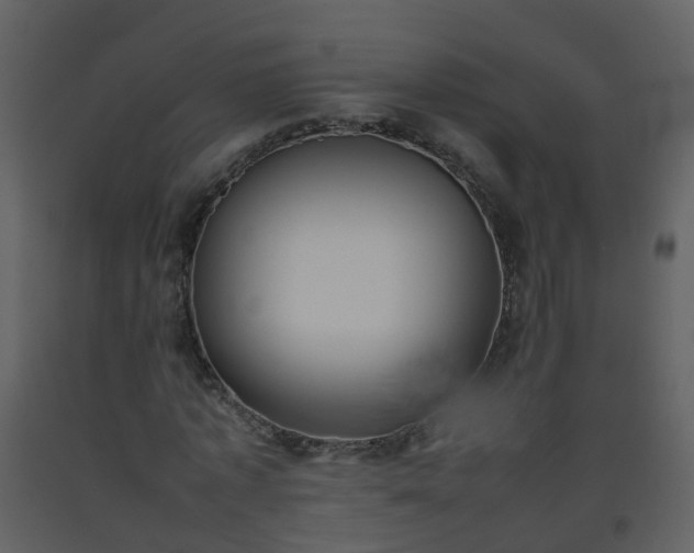 X0000093590773200710221522