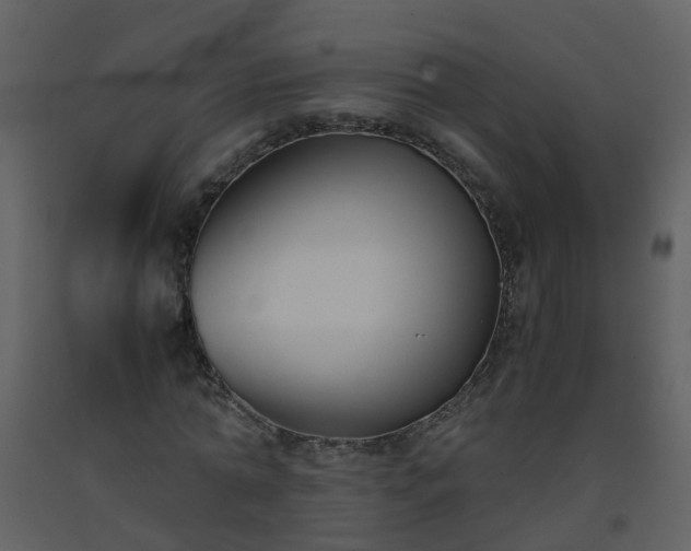 X0000093590774200710221522