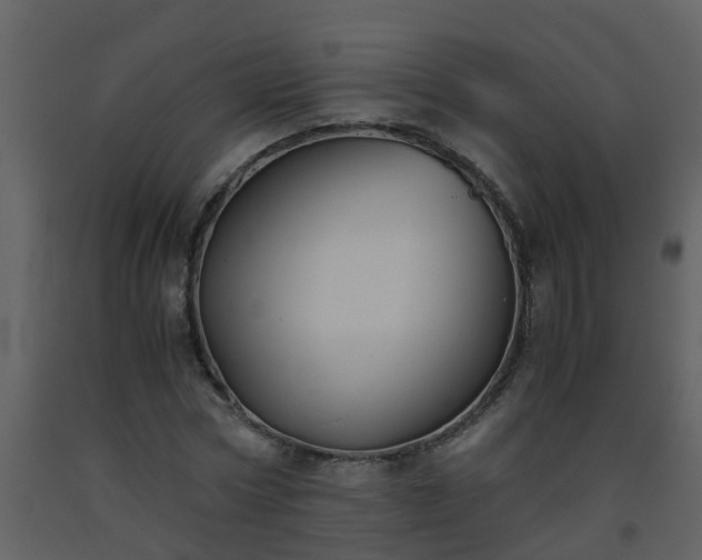 X0000093590778200710221522