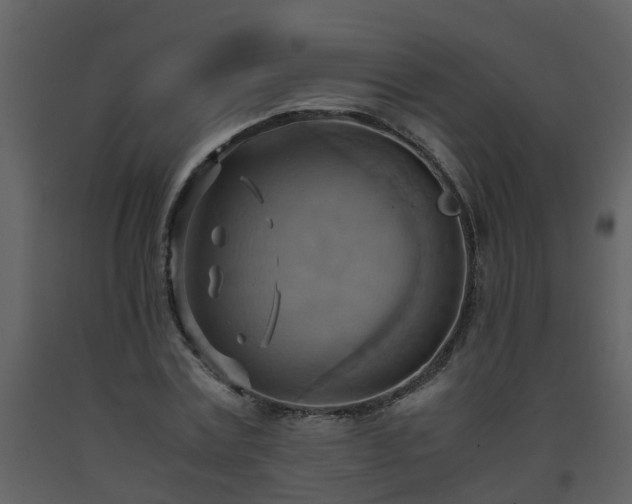 X0000093590779200710221522