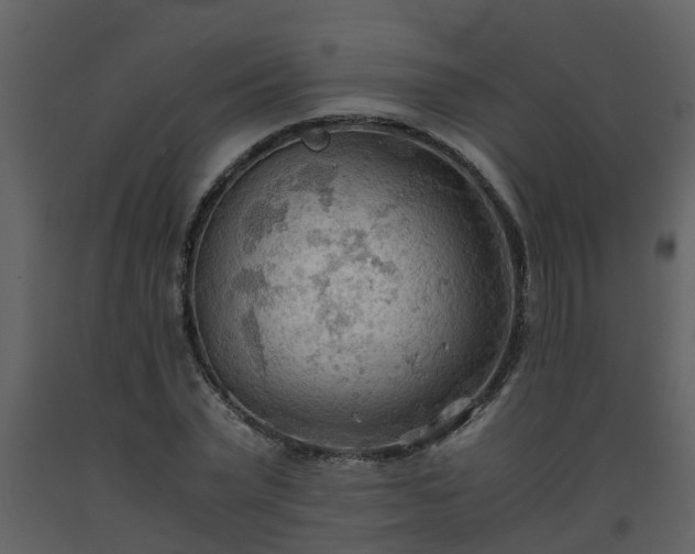 X0000093590783200710221522