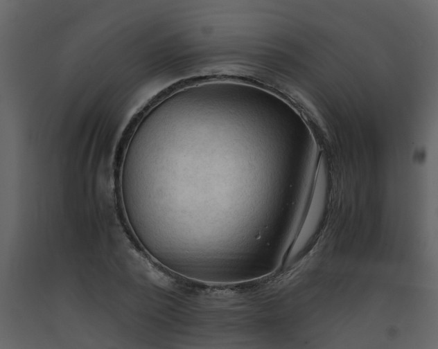 X0000093590784200710221522
