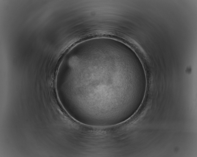 X0000093590785200710221522