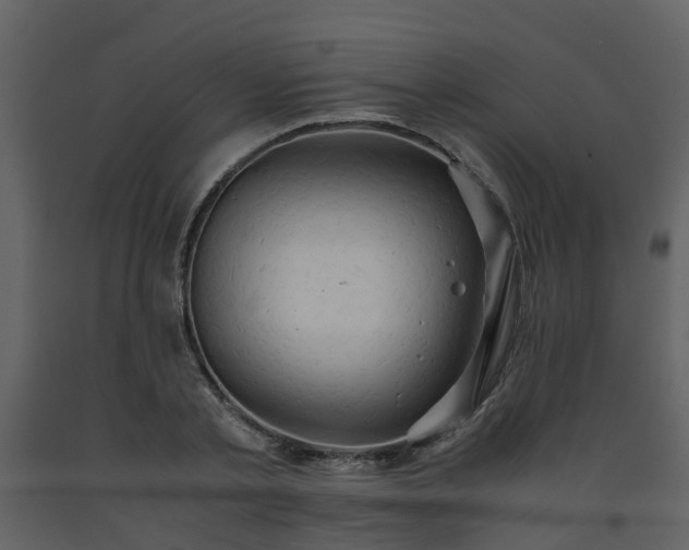 X0000093590789200710221522