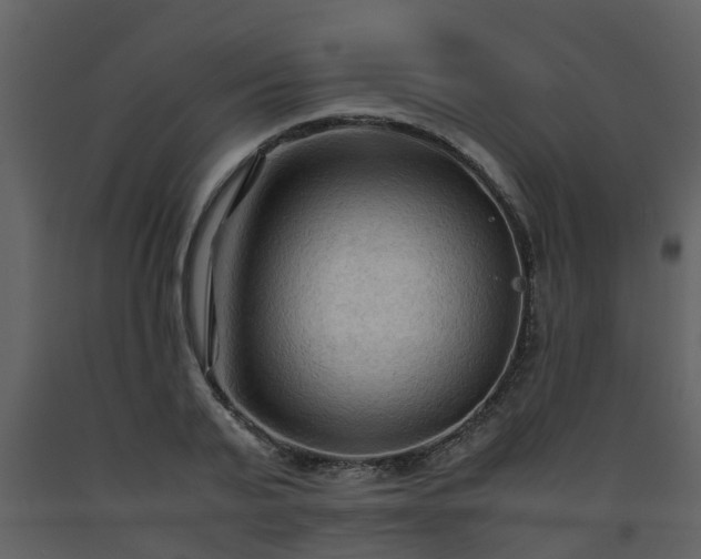 X0000093590791200710221522