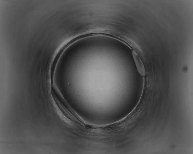 X0000093590792200710221522