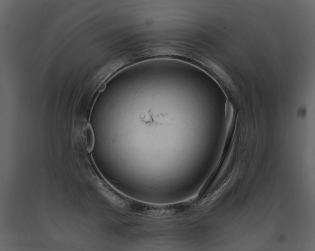 X0000093590793200710221522