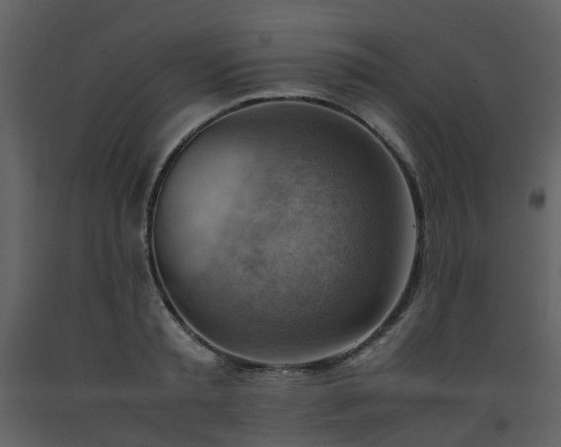 X0000093590797200710221522