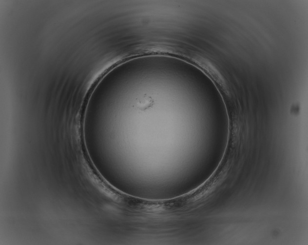 X0000093590798200710221522