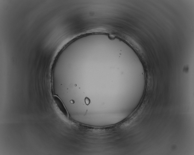 X0000093590800200710221522