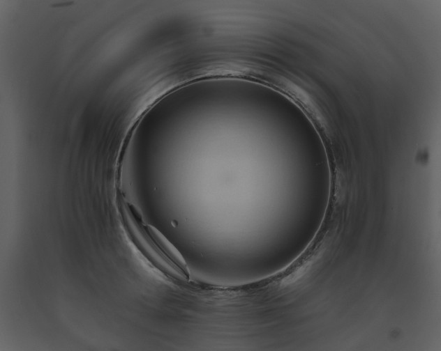 X0000093590802200710221522