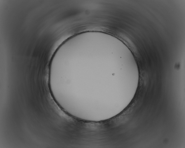 X0000093590804200710221522