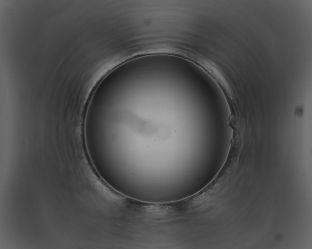 X0000093590805200710221522