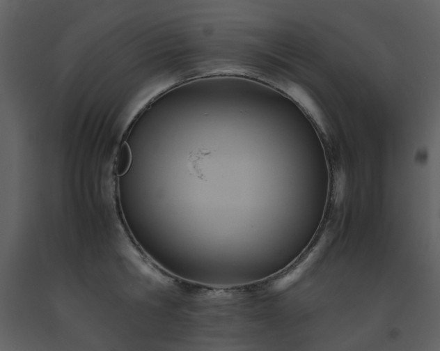 X0000093590806200710221522