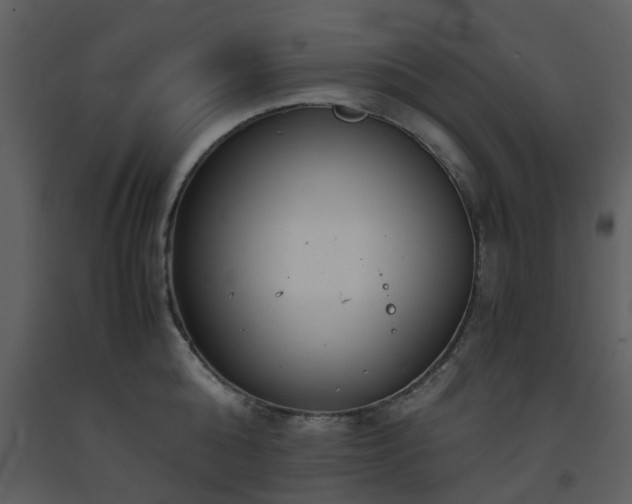 X0000093590808200710221522