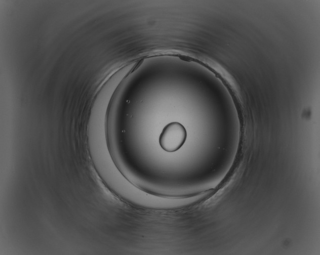 X0000093590809200710221522