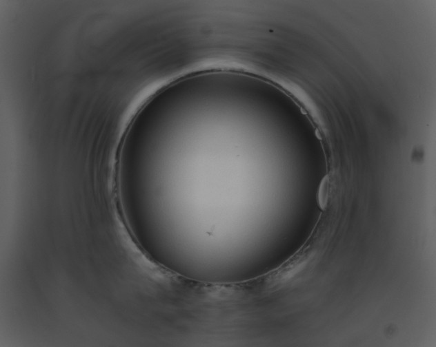X0000093590815200710221522