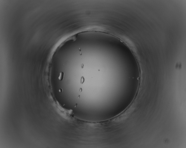 X0000093590816200710221522
