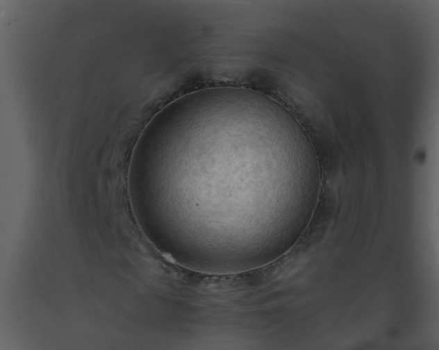 X0000093590817200710221521