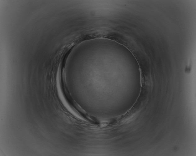 X0000093590818200710221521