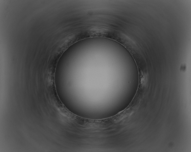 X0000093590819200710221521