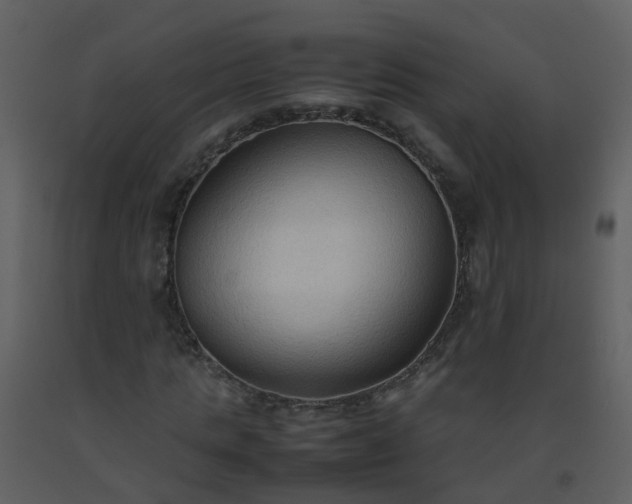 X0000093590821200710221521