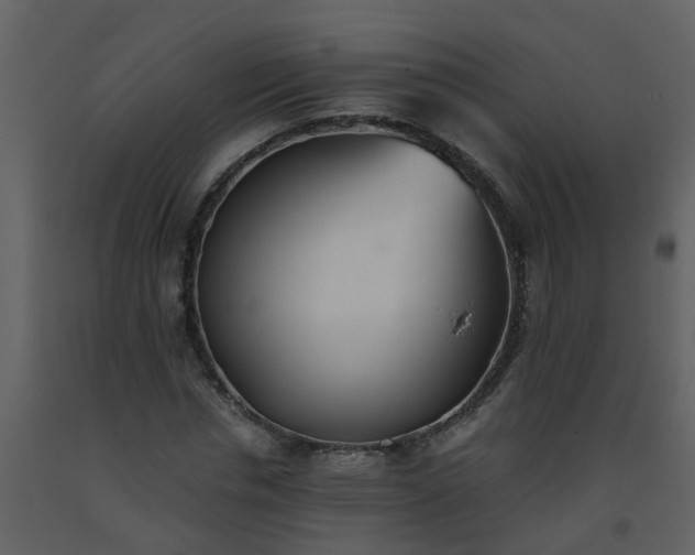X0000093590826200710221521