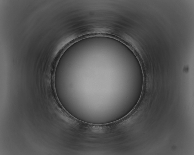 X0000093590827200710221521