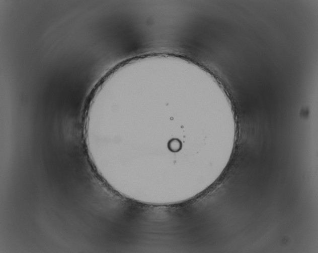 X0000093590828200710221521