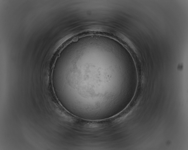 X0000093590829200710221521