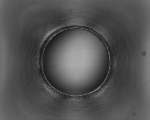 X0000093590830200710221521