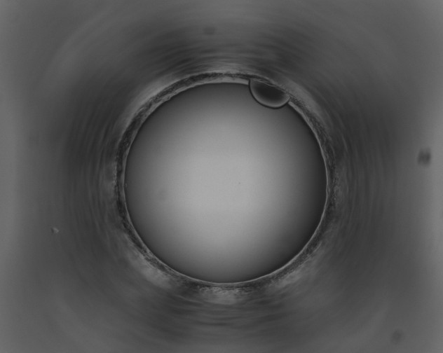 X0000093590831200710221521