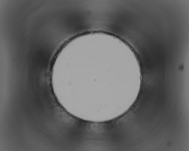 X0000093590832200710221522