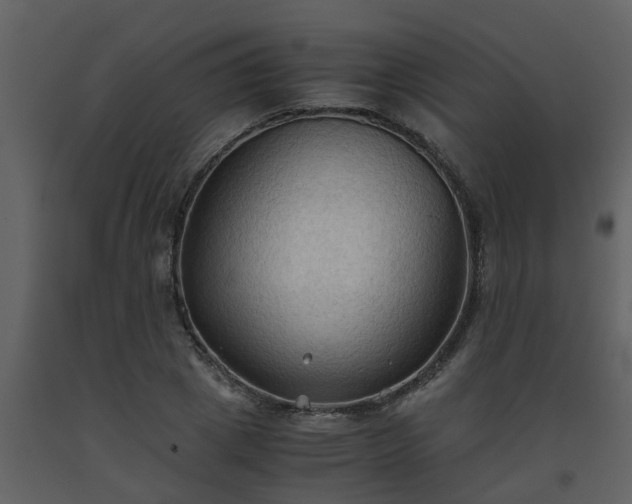 X0000093590833200710221522