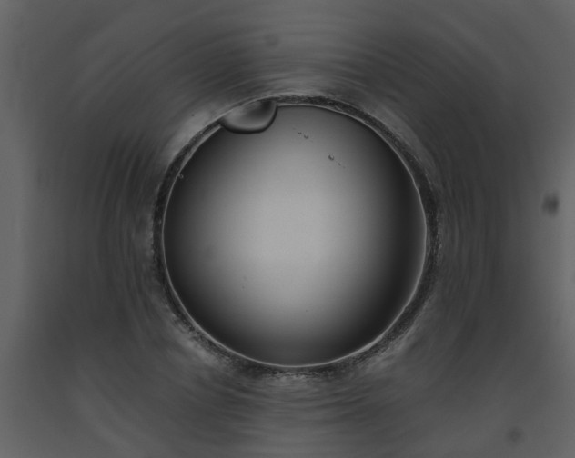 X0000093590834200710221522
